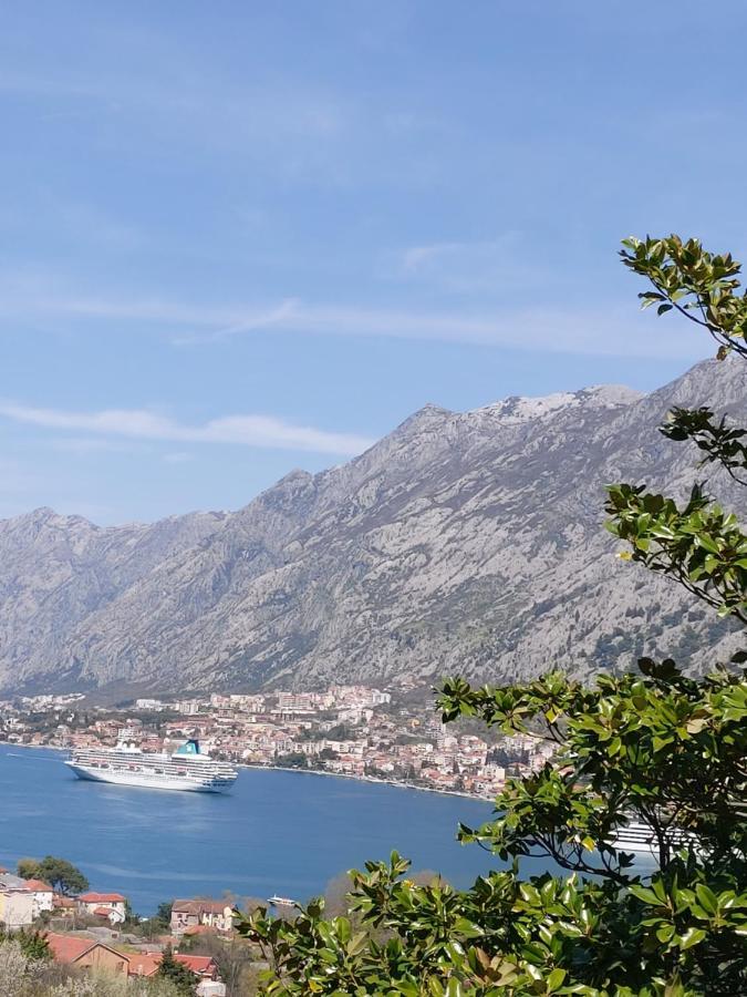 Dolce Casa Villa Kotor Exteriör bild